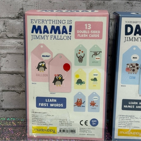 Everything Is Mama! DADA! Double Sided Flash Cards Jimmy Fallon Lot of 2 NEW - Picture 3 of 8